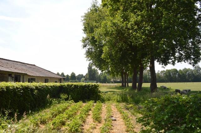 Residentie De Hoek Den Dungen 外观 照片